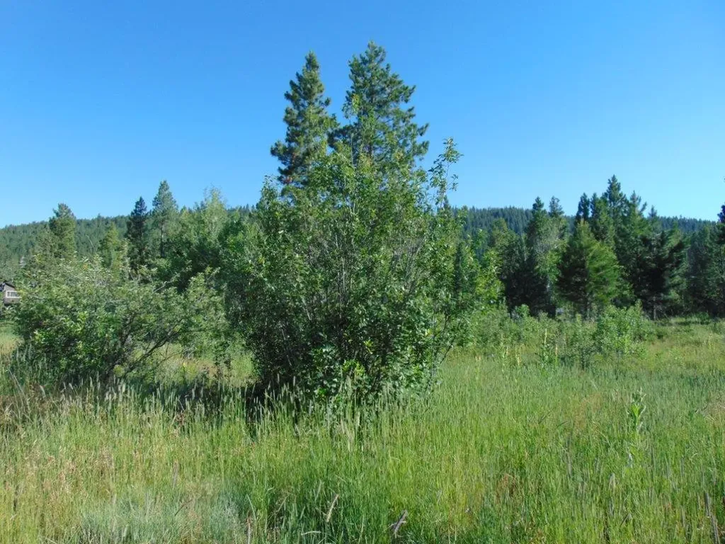 4615 Abe Lincoln Road Lincoln MT 59639