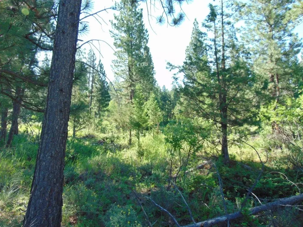 4615 Abe Lincoln Road Lincoln MT 59639