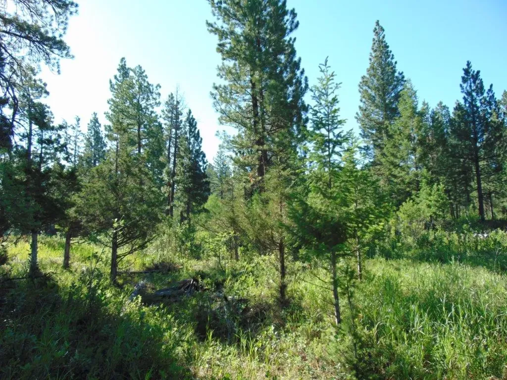 4615 Abe Lincoln Road Lincoln MT 59639