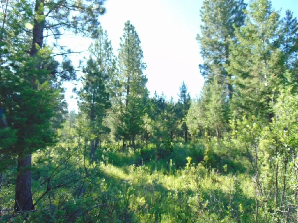4615 Abe Lincoln Road Lincoln MT 59639