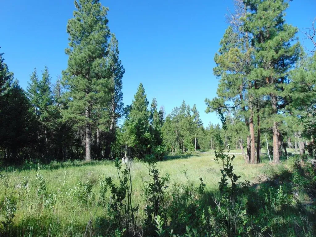 4615 Abe Lincoln Road Lincoln MT 59639