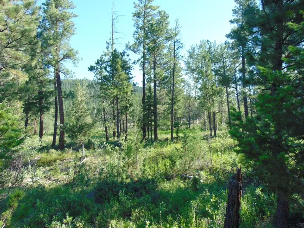 4615 Abe Lincoln Road Lincoln MT 59639