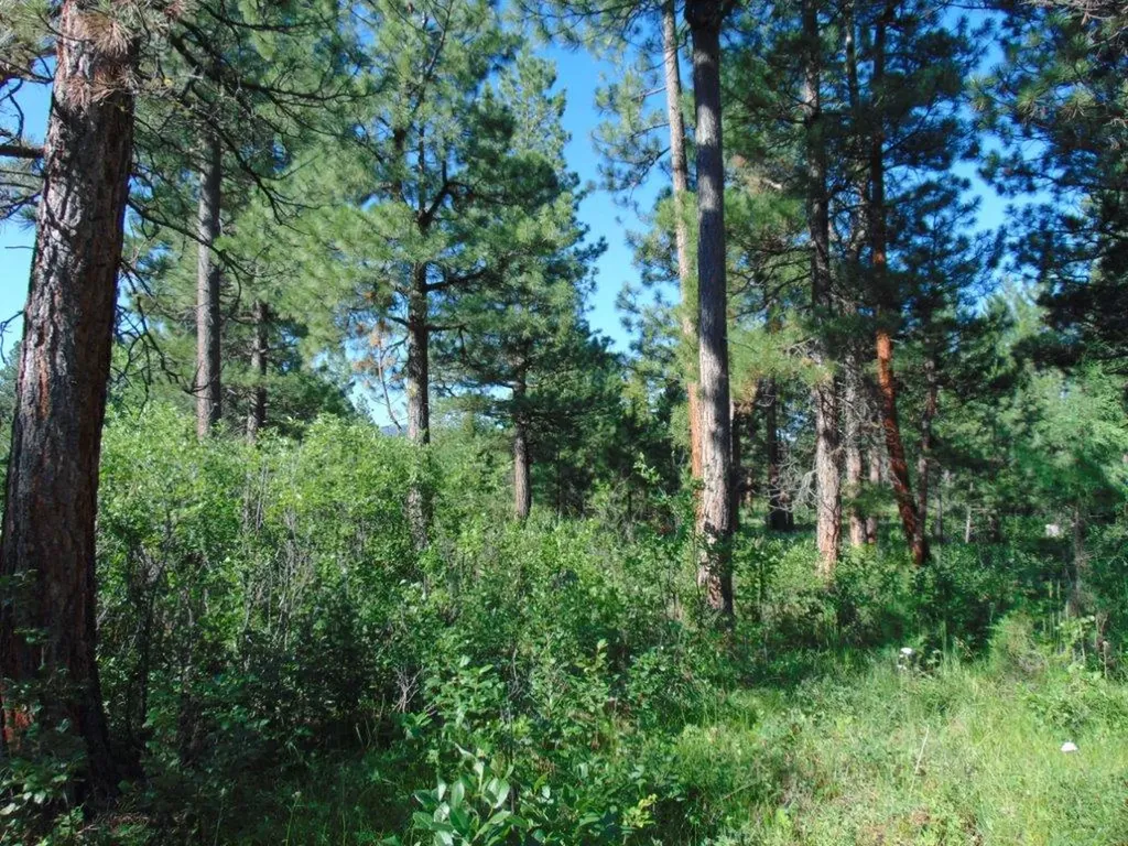 4615 Abe Lincoln Road Lincoln MT 59639