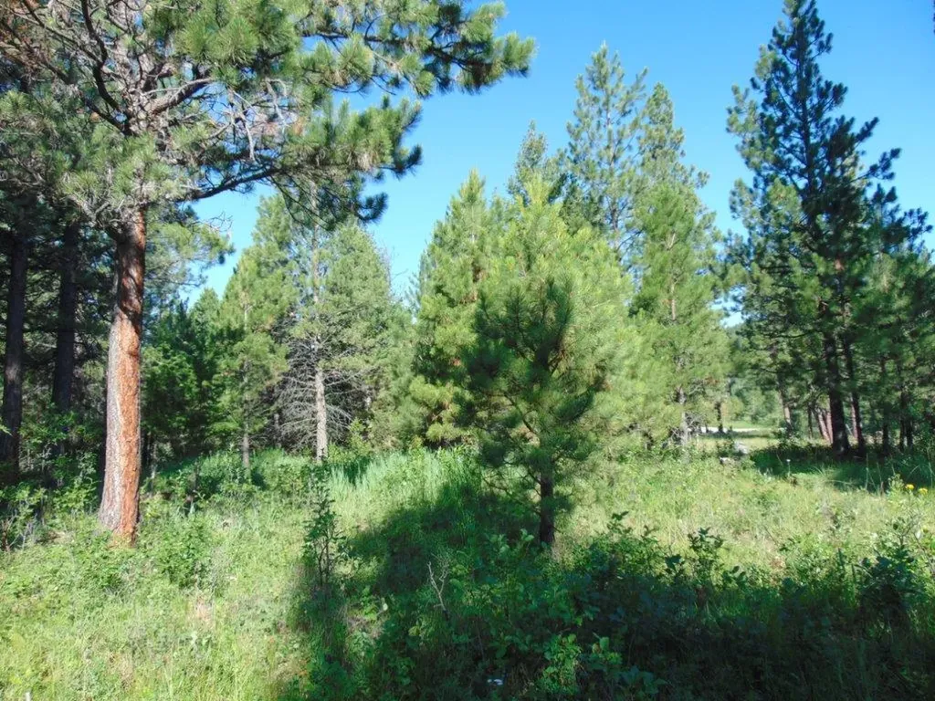 4615 Abe Lincoln Road Lincoln MT 59639