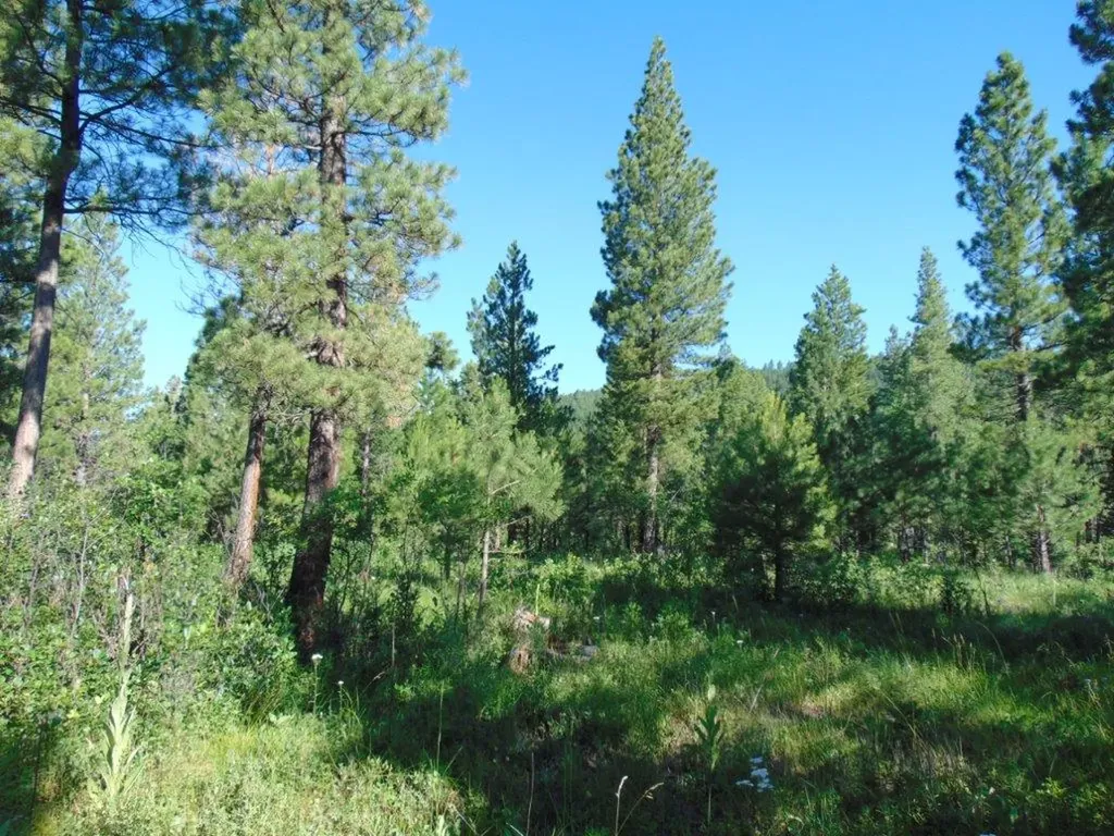 4615 Abe Lincoln Road Lincoln MT 59639