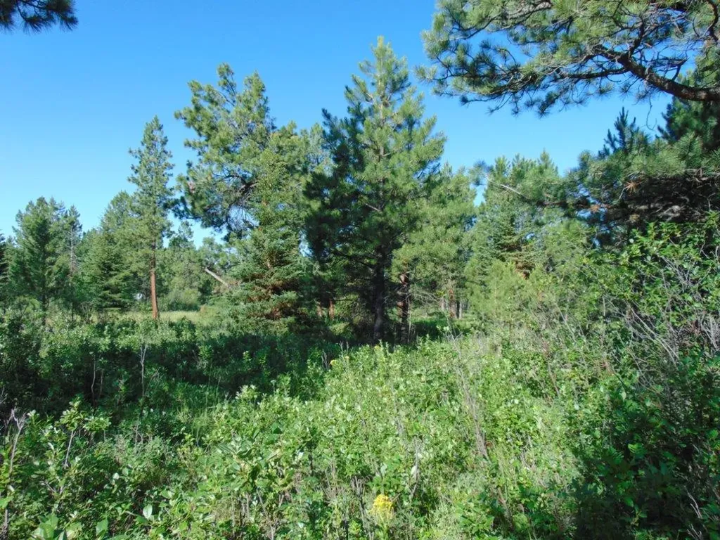 4615 Abe Lincoln Road Lincoln MT 59639