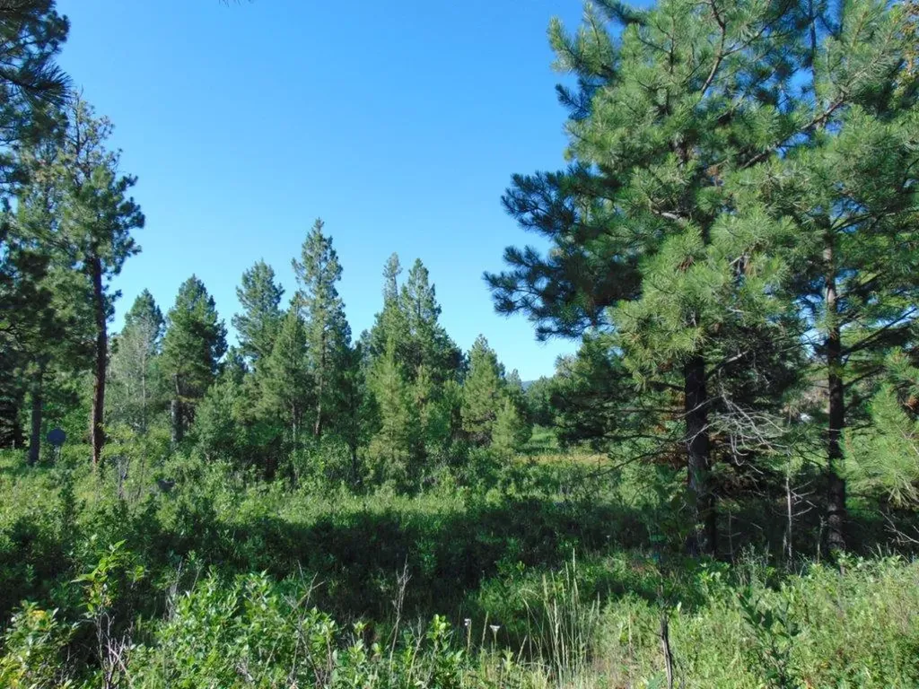 4615 Abe Lincoln Road Lincoln MT 59639