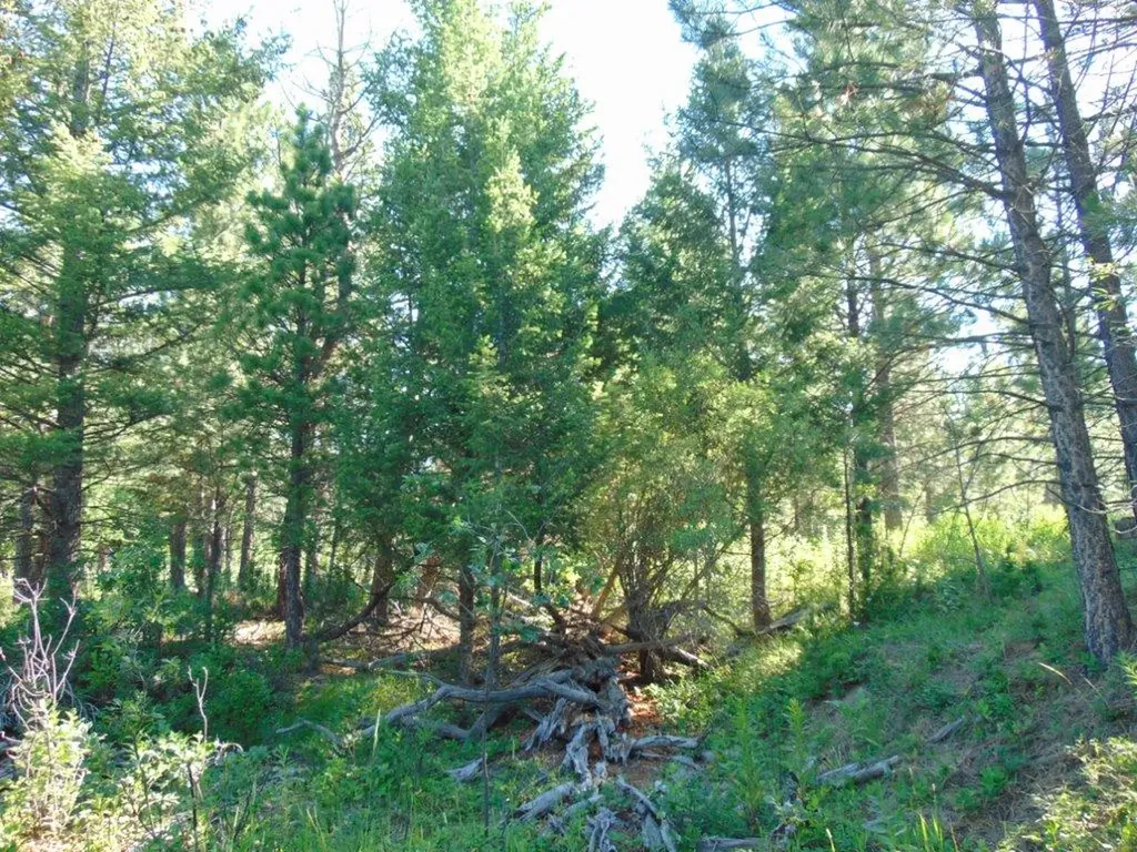 4615 Abe Lincoln Road Lincoln MT 59639