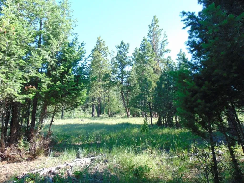4615 Abe Lincoln Road Lincoln MT 59639