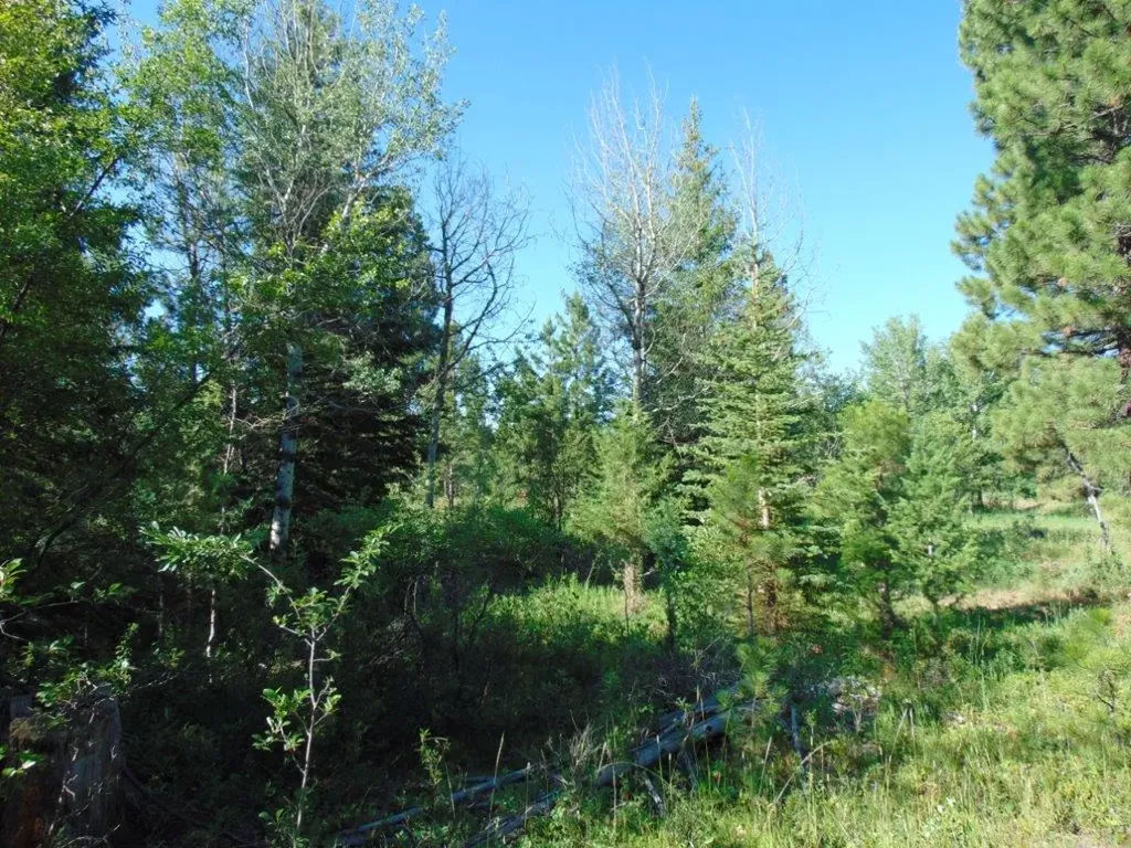 4615 Abe Lincoln Road Lincoln MT 59639