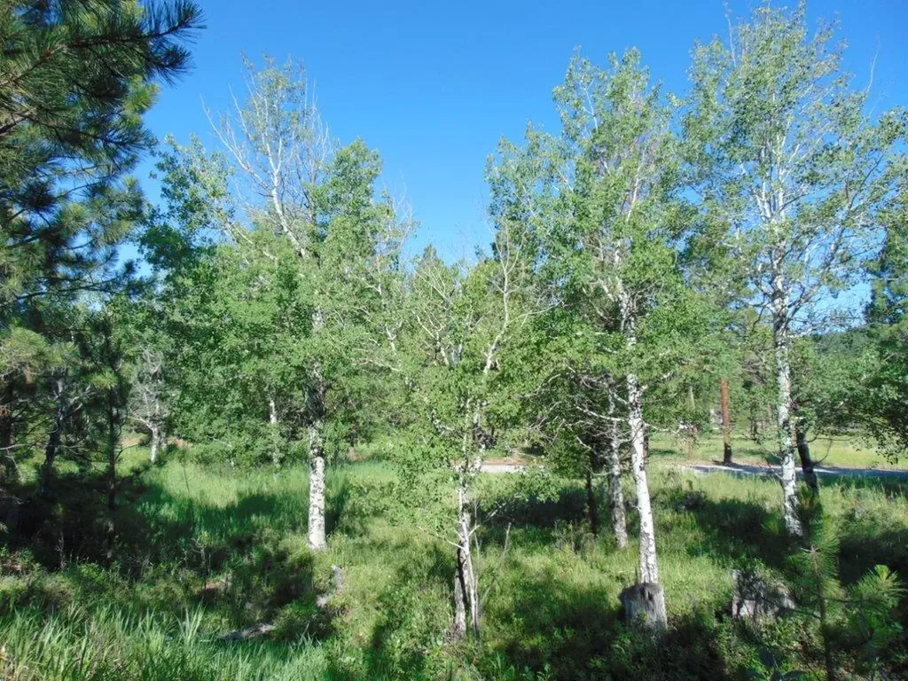 4615 Abe Lincoln Road Lincoln MT 59639