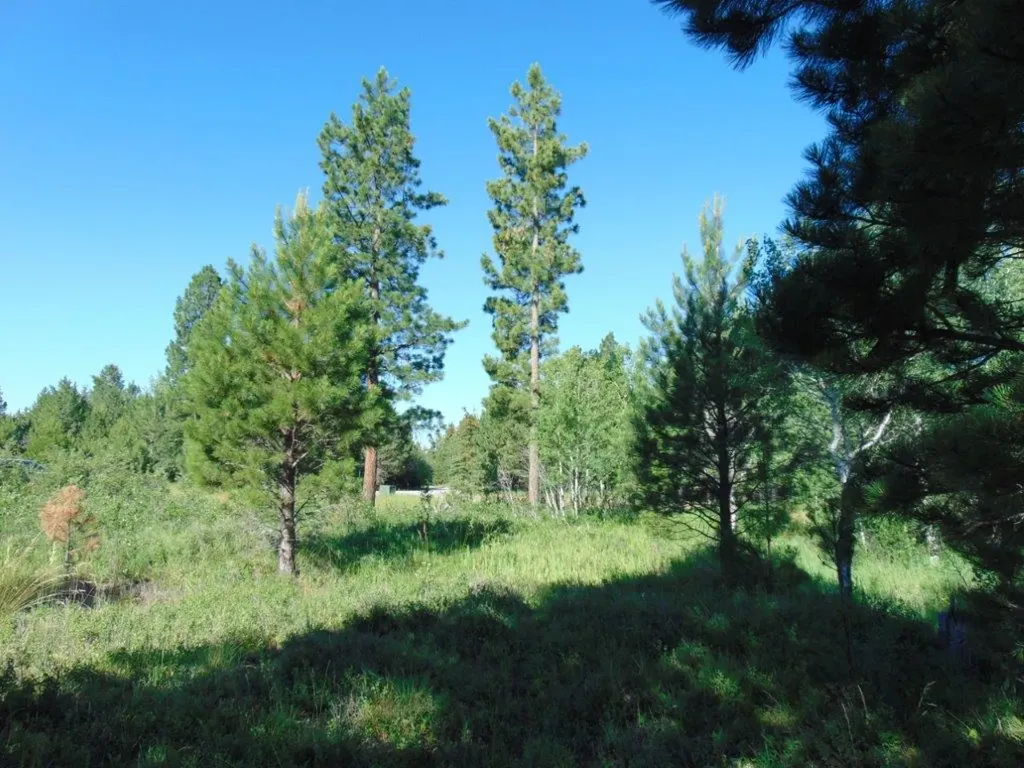 4615 Abe Lincoln Road Lincoln MT 59639
