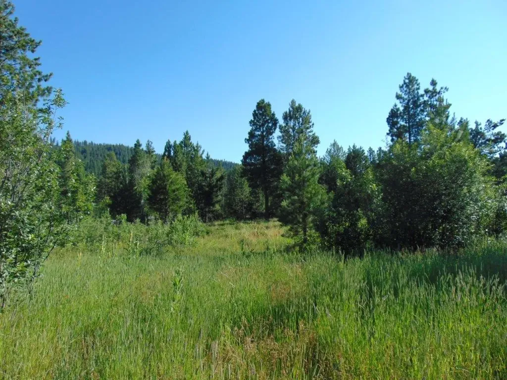 4615 Abe Lincoln Road Lincoln MT 59639