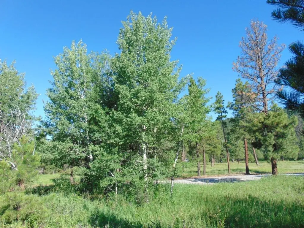 4615 Abe Lincoln Road Lincoln MT 59639