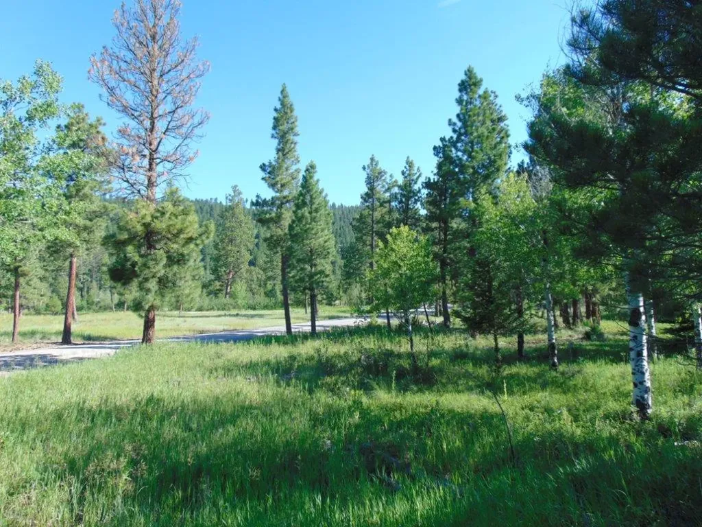 4615 Abe Lincoln Road Lincoln MT 59639