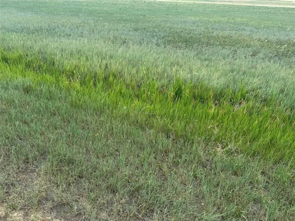 Tbd Essex Lane Great Falls MT 59404