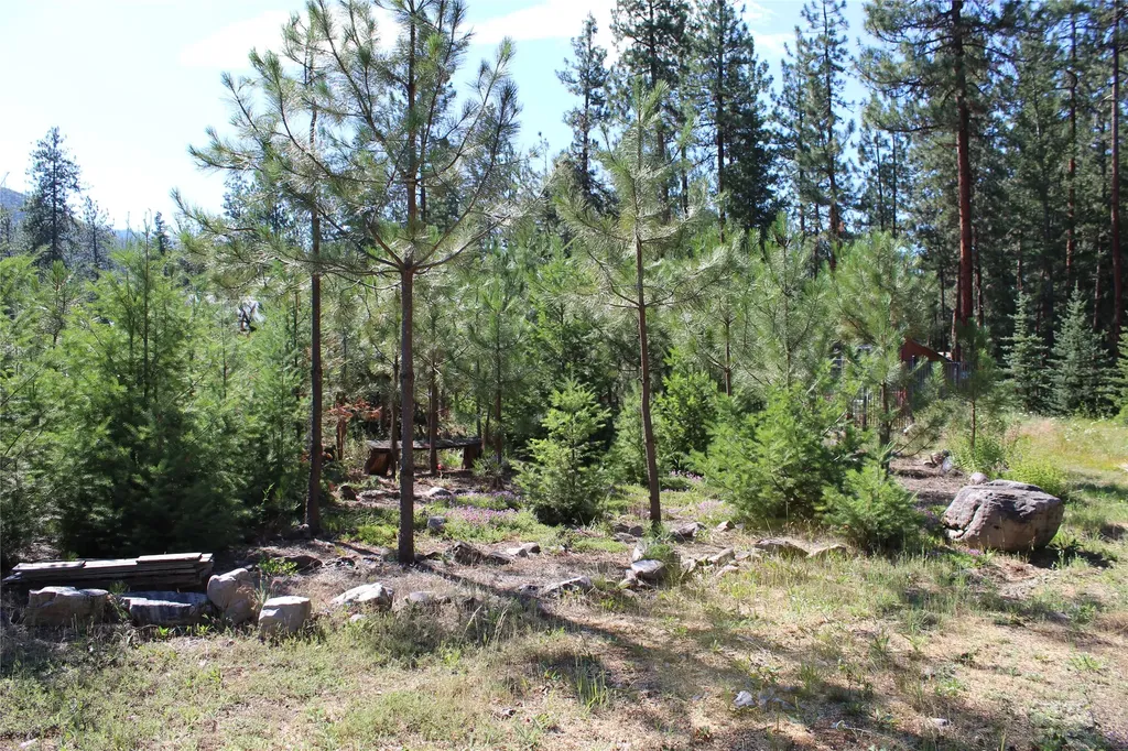 31 Westfall Road Superior MT 59872