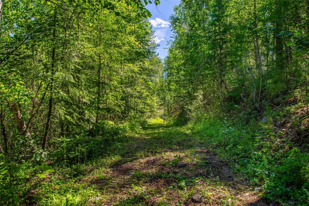 11315 Us Hwy 2 E West Glacier MT 59936
