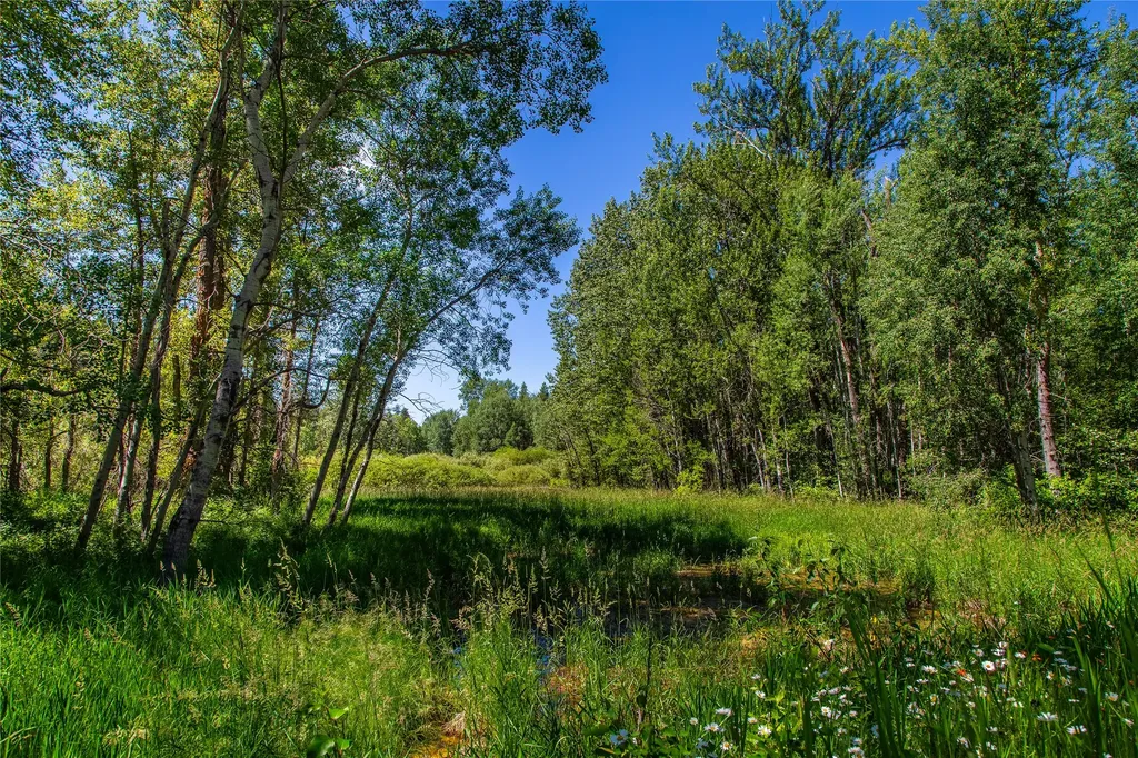 11315 Us Hwy 2 E West Glacier MT 59936