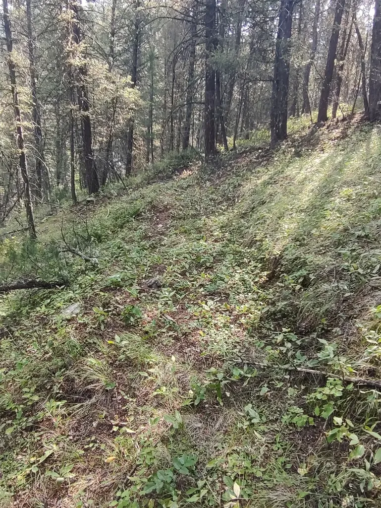 Nkn Gonq Road/contract Mill Road Philipsburg MT 59858