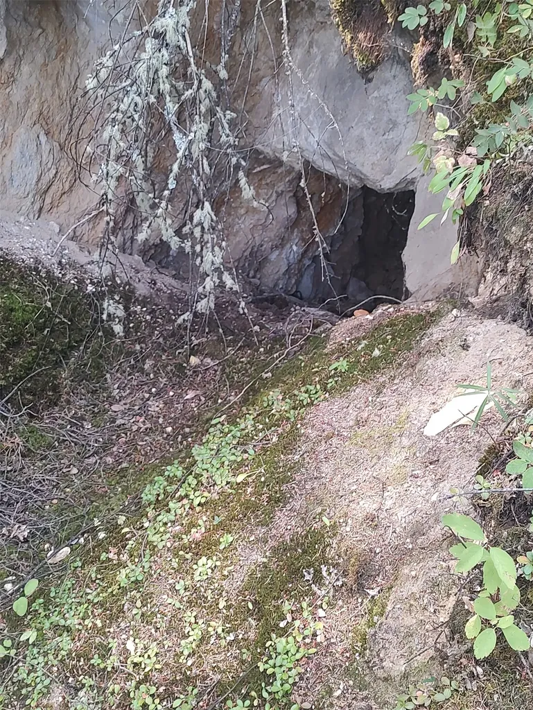 Nkn Gonq Road/contract Mill Road Philipsburg MT 59858