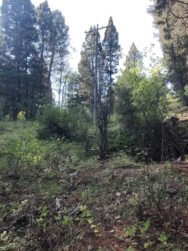 Nkn Gonq Road/contract Mill Road Philipsburg MT 59858