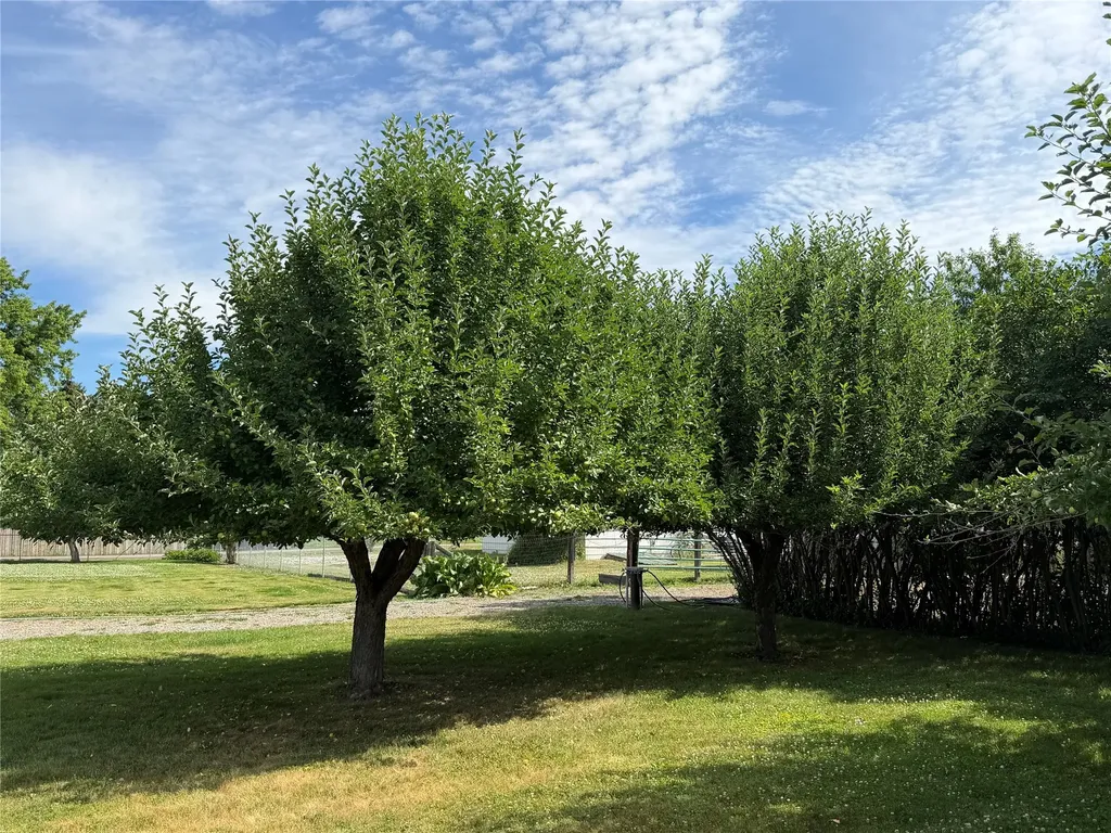 Nhn Clayton Street Plains MT 59859
