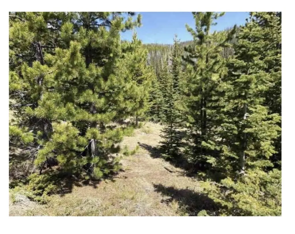 Nhn Corral Gulch Road Clancy MT 59634
