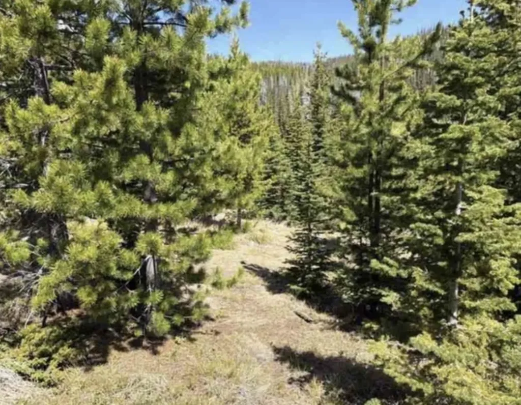 Nhn Corral Gulch Road Clancy MT 59634