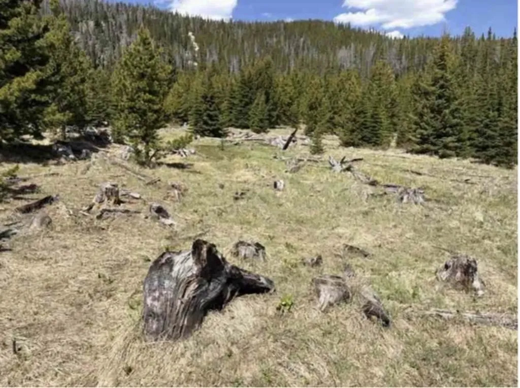 Nhn Corral Gulch Road Clancy MT 59634
