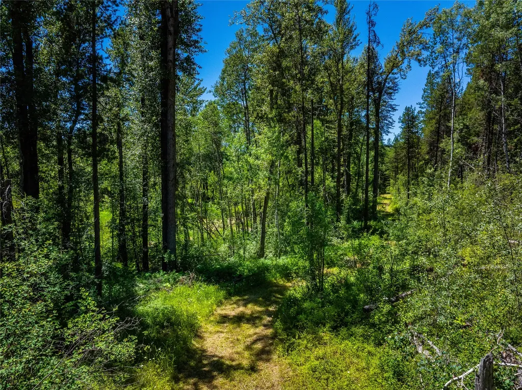 11315 Us Hwy 2 E West Glacier MT 59936