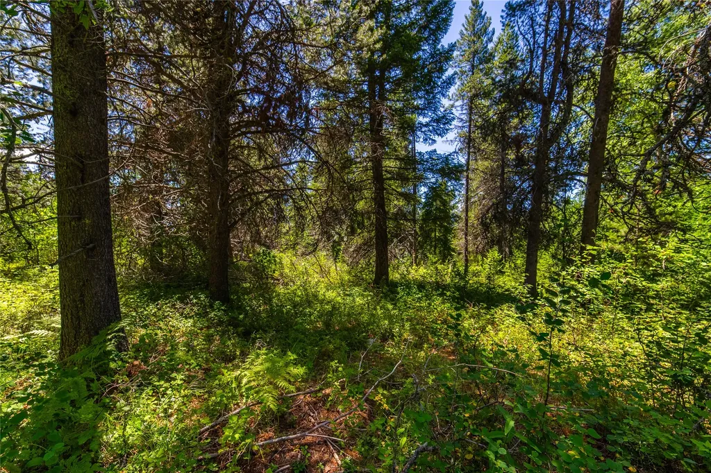 11315 Us Hwy 2 E West Glacier MT 59936