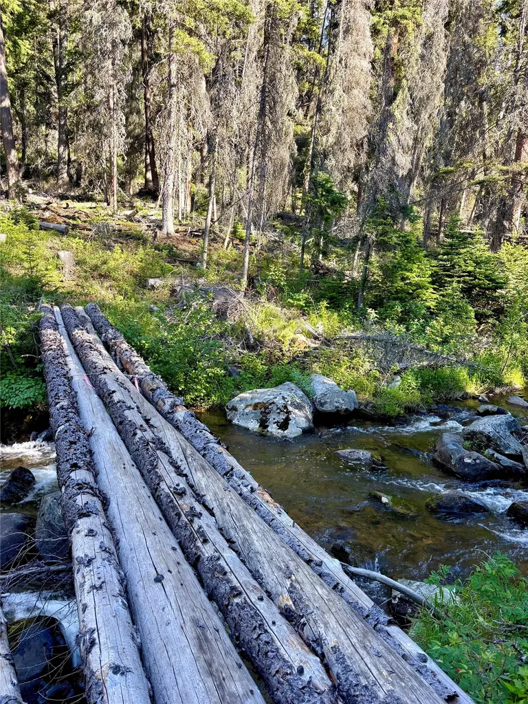 3925 Rimini Road Helena MT 59601