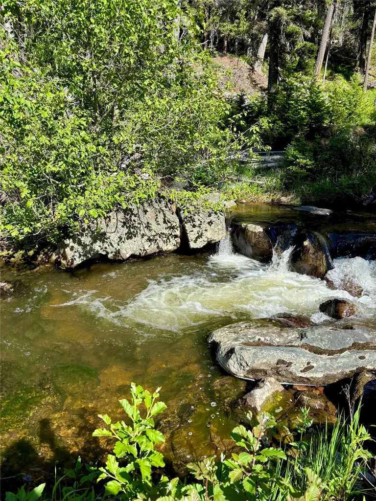 3925 Rimini Road Helena MT 59601