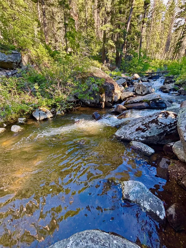 3925 Rimini Road Helena MT 59601