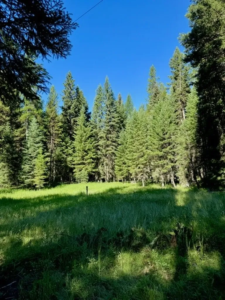 6363 Mt Highway 83 Condon MT 59826