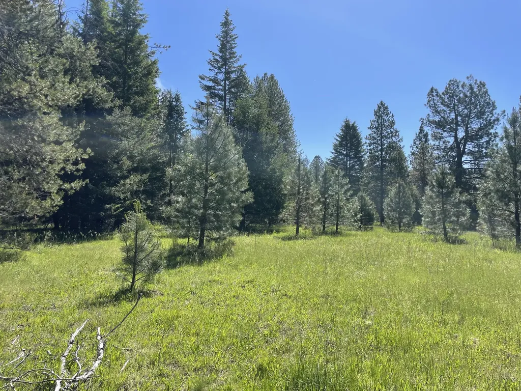 Nhn S Shore Drive Trout Creek MT 59874