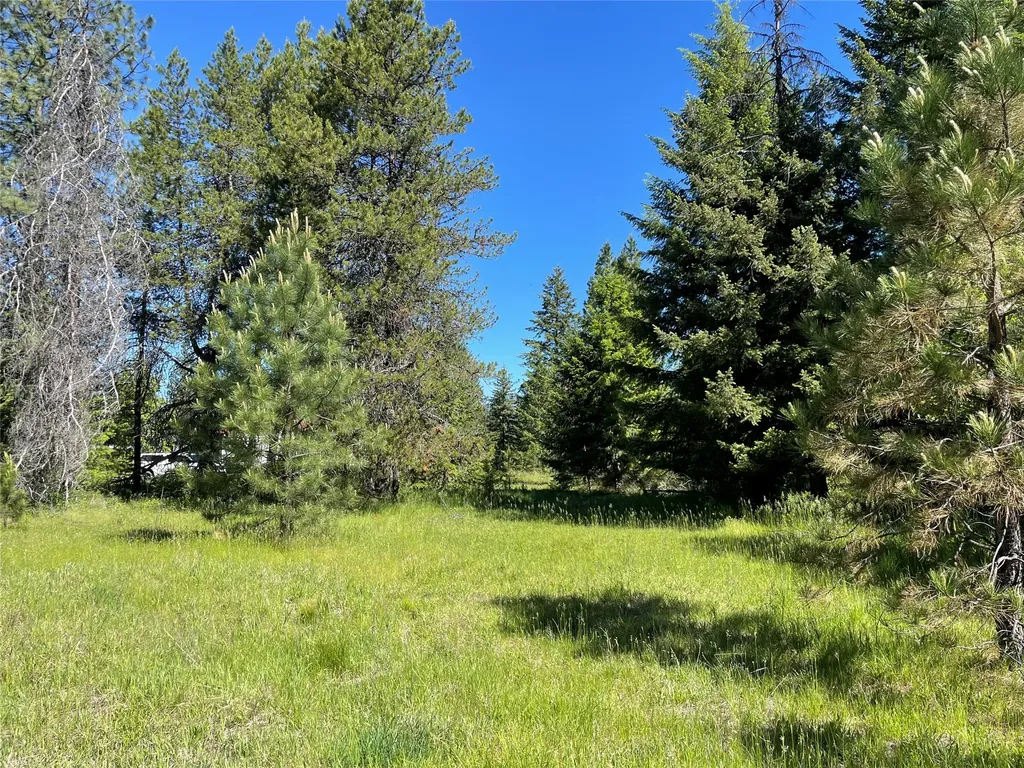 Nhn S Shore Drive Trout Creek MT 59874