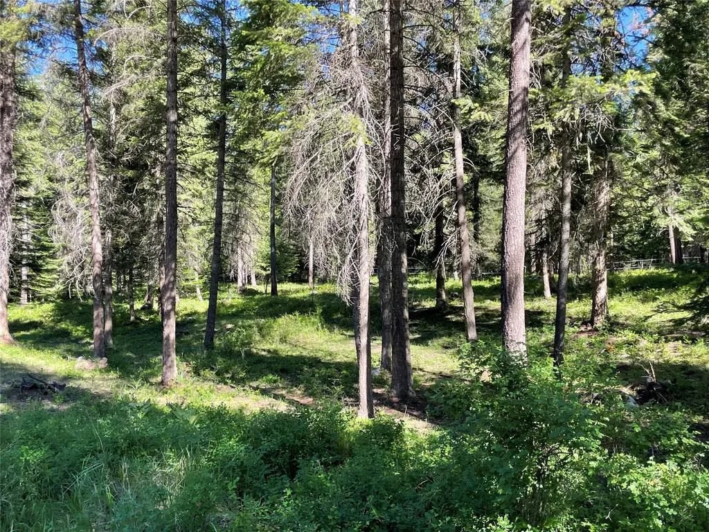 Nhn S Shore Drive Trout Creek MT 59874