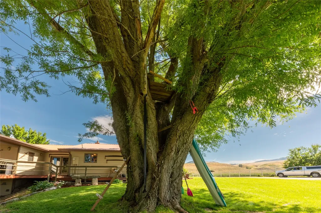 175 Lower Lynch Creek Road Plains MT 59859