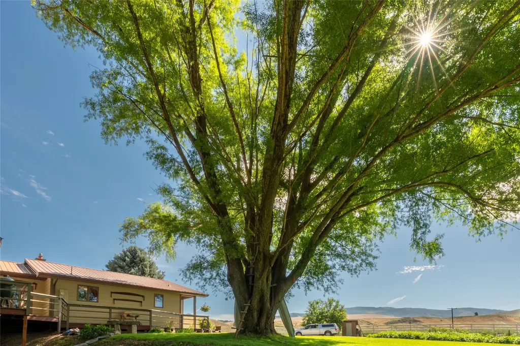 175 Lower Lynch Creek Road Plains MT 59859