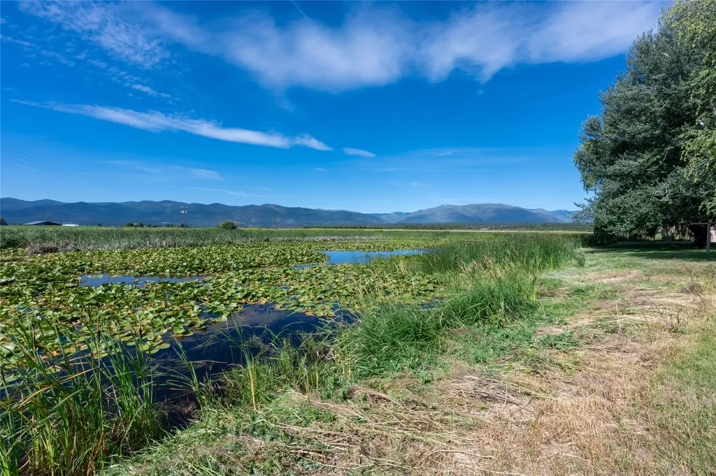 175 Lower Lynch Creek Road Plains MT 59859