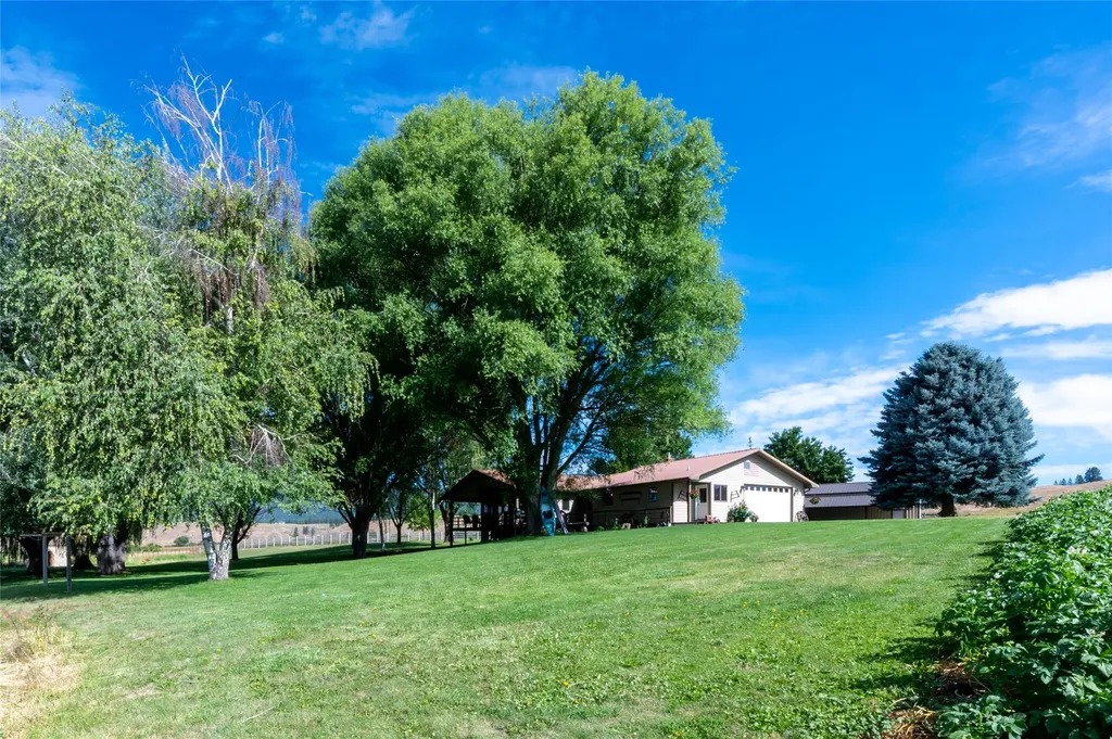 175 Lower Lynch Creek Road Plains MT 59859