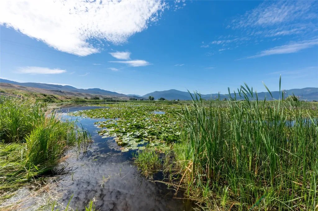 175 Lower Lynch Creek Road Plains MT 59859