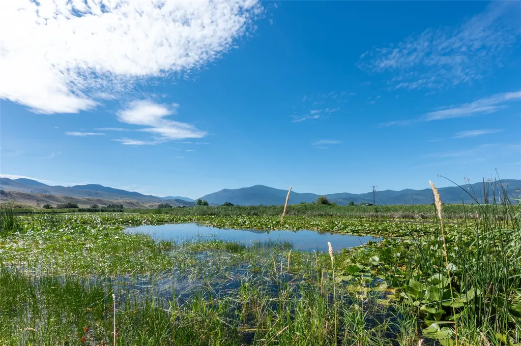 175 Lower Lynch Creek Road Plains MT 59859
