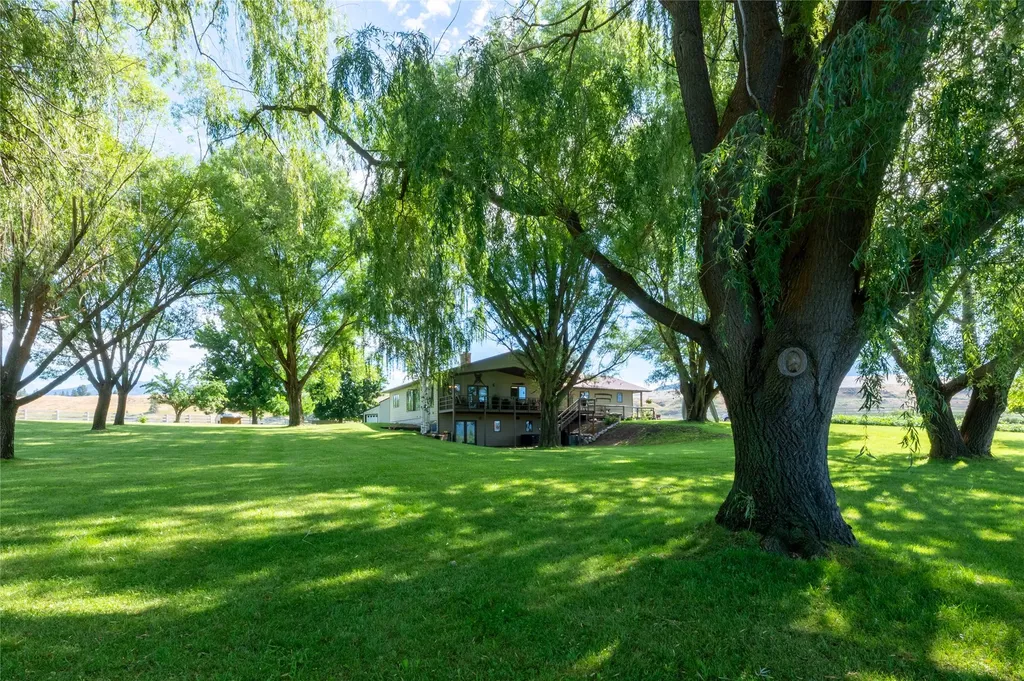 175 Lower Lynch Creek Road Plains MT 59859
