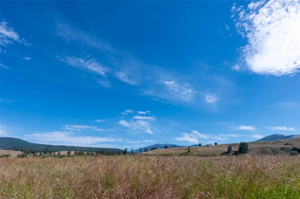 175 Lower Lynch Creek Road Plains MT 59859