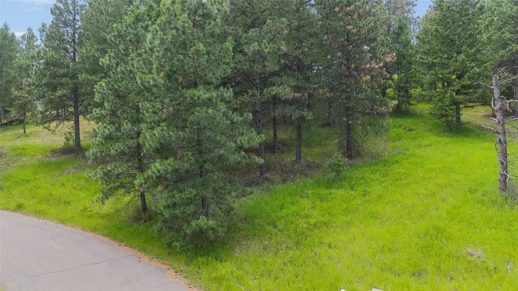 435 Windsor Drive Bigfork MT 59911