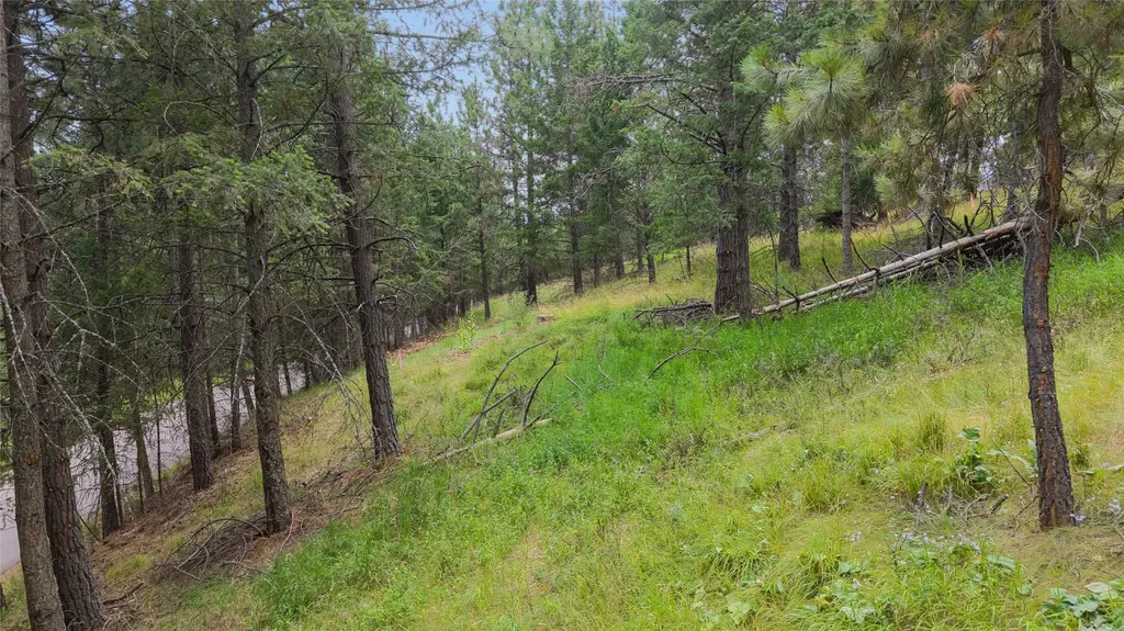435 Windsor Drive Bigfork MT 59911