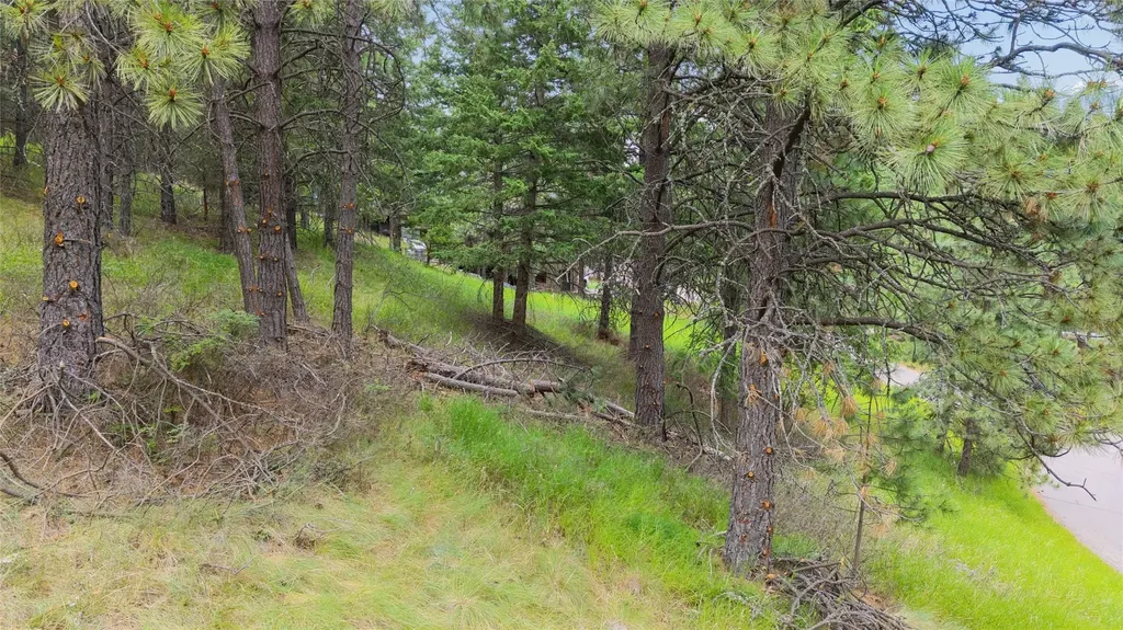 435 Windsor Drive Bigfork MT 59911